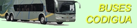 Buses "CODIGUA"