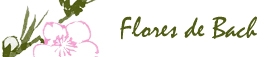 Flores de Bach - María José Martín S.