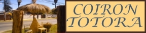 COIRON PASCUAL - Artesanía en Coirón y Totora