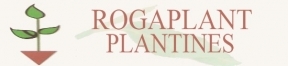 ROGAPLANT - Almaciguera