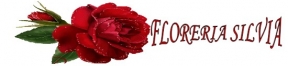 FLORERIA SILVIA - Florería