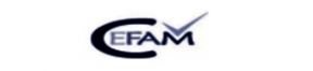 CEFAM - Organismo Técnico de Capacitación