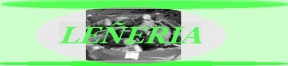 SERVICIOS DIAZ VERDUGO - Leñería
