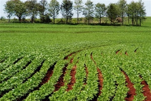 Nuevo crédito bancario para agricultores afectados por el terremoto